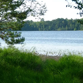 Etang des Lévrys