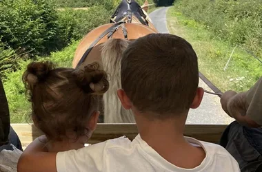 Mini séjour découverte nuit en roulotte et balade en calèche