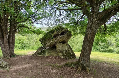 La Grande Traversée du Sud Touraine