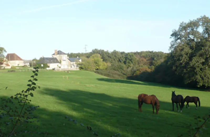 Montgenoux-chevaux