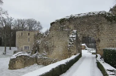 Château-fort de Cuffy