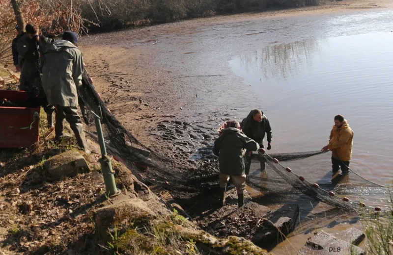 Découverte commentée d’une pêche d’étang