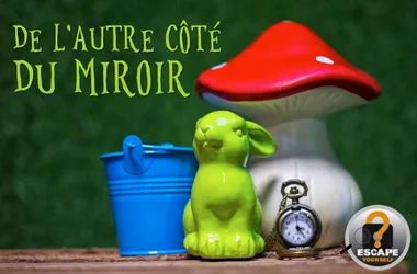 De l_autre côté du miroir (titre et logo)