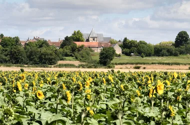 Journées Européennes du Patrimoine à Montlouis