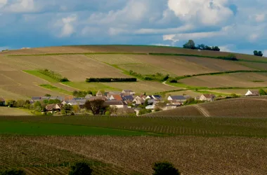 Happy Petit Senais Sancerre – La Longère