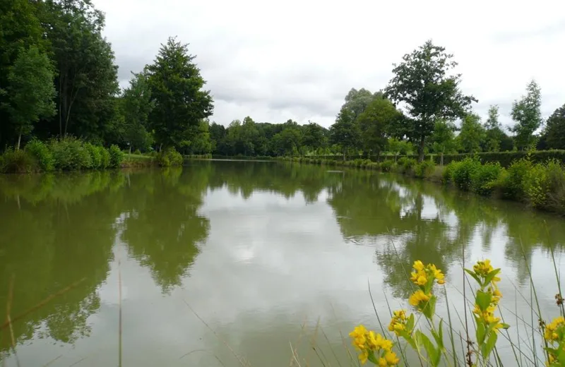 Plans d’eau Gilbert Lecomte – Site de pêche labellisé – parcours famille