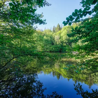 Moulin de Retord, côté étang