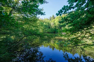 Moulin de Retord, côté étang