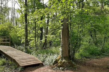Parc départemental des Courtils des Mauves - Meung-sur-Loire - MPaleau Tourisme Loiret (7)
