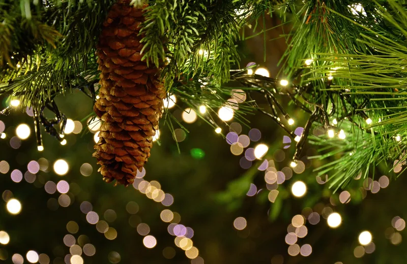 Marché de Noël des producteurs à Blois