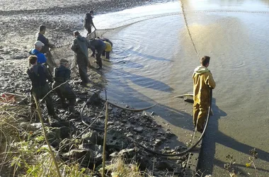 Du filet de pêche à la vente de poissons