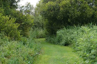 Le marais de la Presle