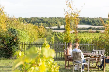 Visite thématique « Rabelais et le vin »