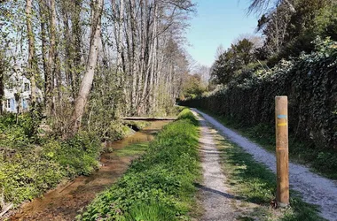 Sentier entre Loire et vignes