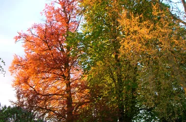 Gîte Côté-jardin