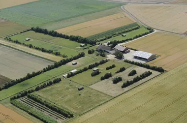 EARL ARIBAUD, Ferme de la Pharmacie