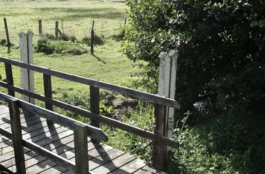 Étang de Bérou-la-Mulotière