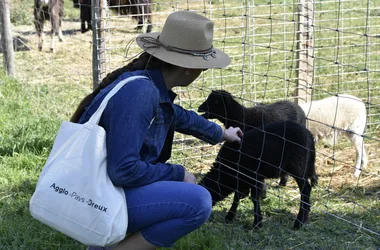 La Ferme d’Odysséa Pêche & Nature