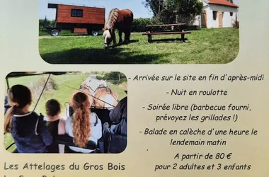 Mini séjour découverte nuit en roulotte et balade en calèche