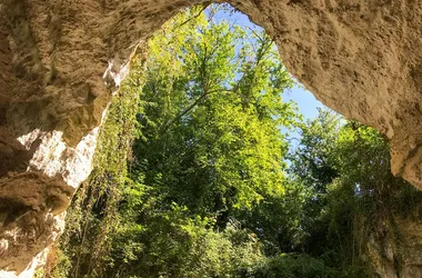 Clos des Quarterons - Cave touristique à Saint-Nicolas-de-Bourgueil