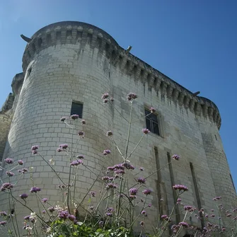 Visite guidée de la Porte Royale