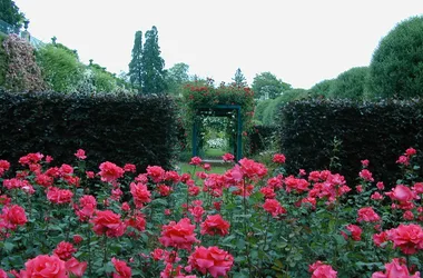 (213)jardin-roseraie-blois©CDT41
