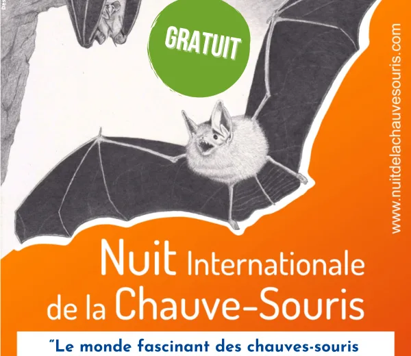 Balade nature : Nuit de la chauve souris