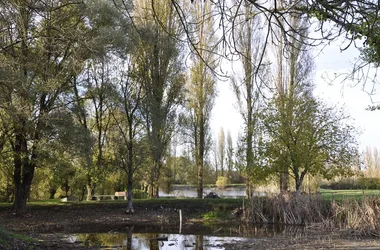 La Fontaine Dorée – Randonnée en Nord-Touraine