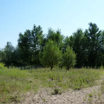 Site naturel préservé de Benne