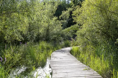 Le Marais des Rinceaux