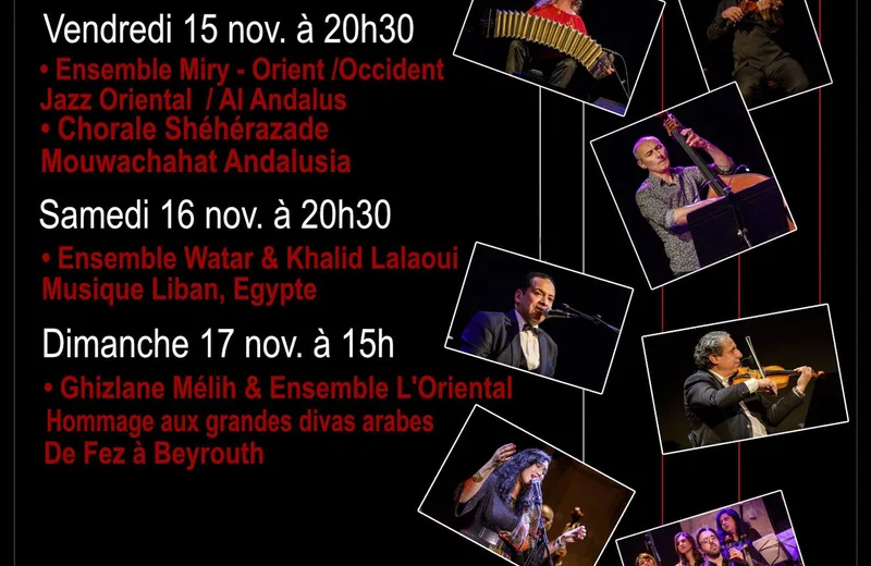 Festival International des cordes pincées Du 15 au 17 nov 2024