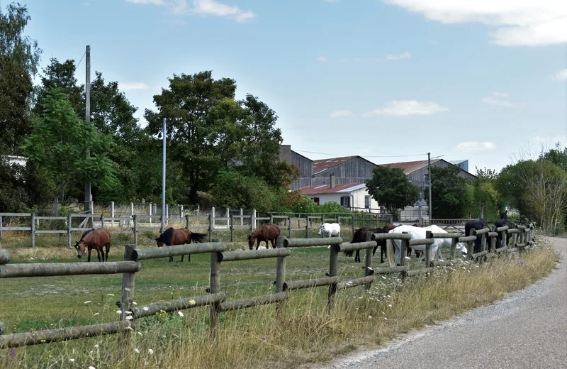 Centre Equestre Aventure et Vous