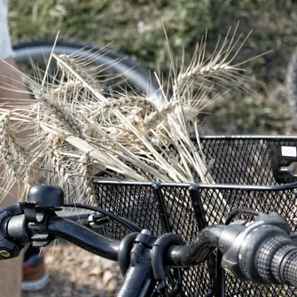 Location de vélos à assistance électrique