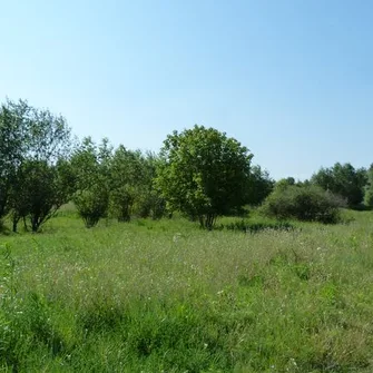 Site naturel préservé de Benne