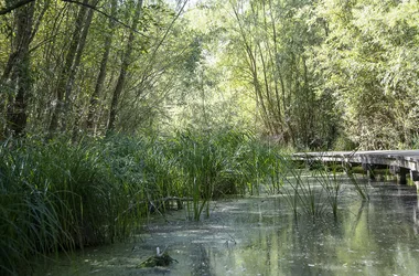 Le Marais des Rinceaux