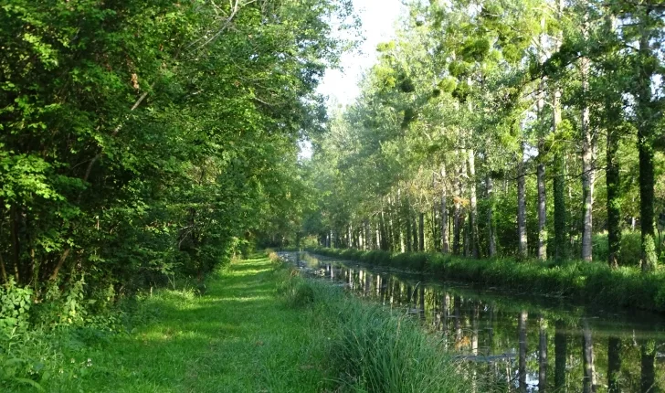 Ecobalade entre canal et prairies humides