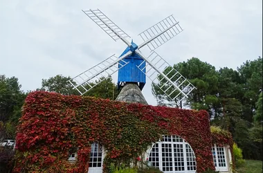 moulin-bleu-bourgueil