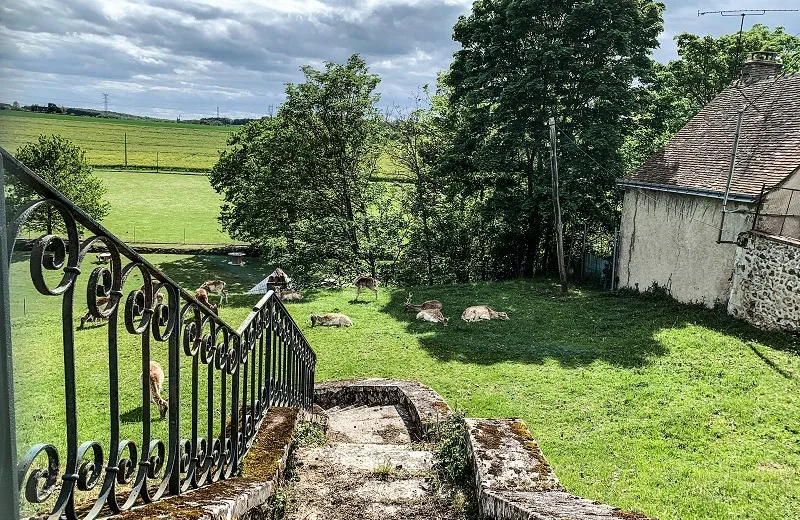 La petite Cerelloise – Randonnée en Nord-Touraine