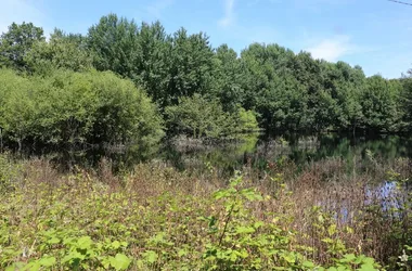 Espace naturel sensible des Dolines de Limère