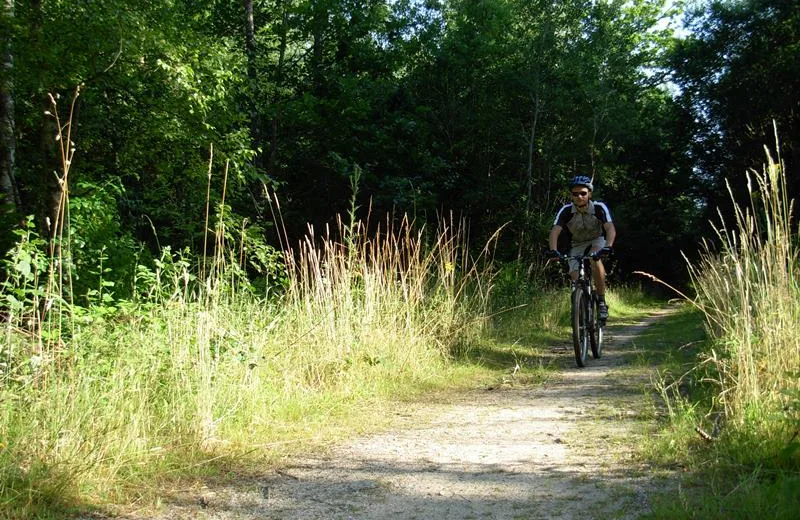 Circuit VTT du tour de l’étang de la Vallée