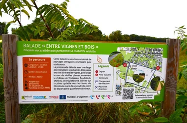 Balade Entre Vignes et Bois – balade PMR