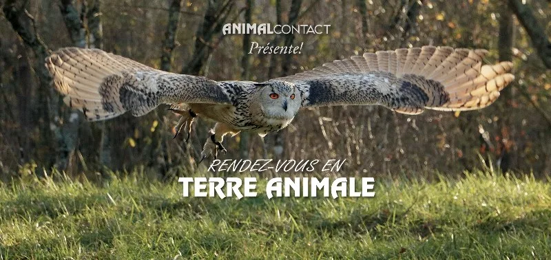 Rendez-vous en Terre Animale