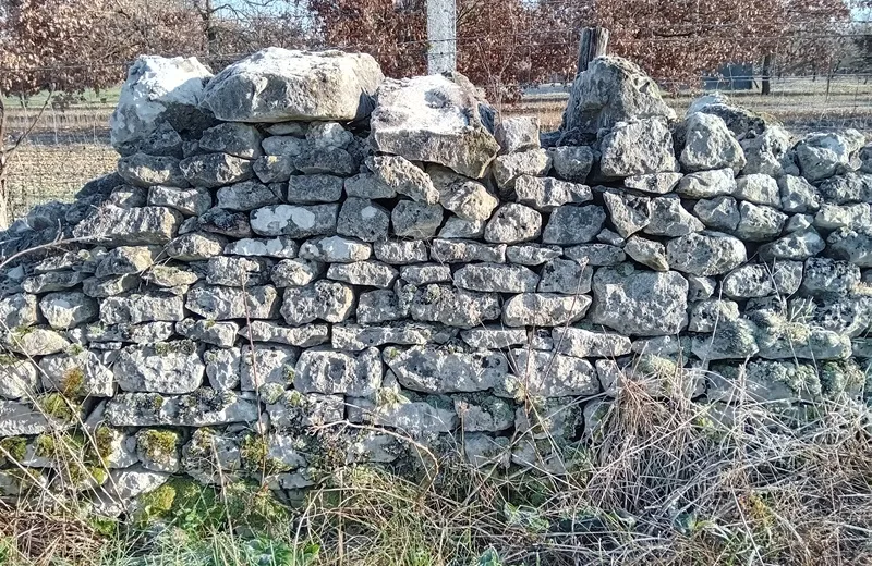 Initiation à la construction en pierre sèche