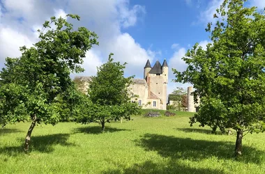 Château de Bridoré