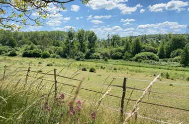 Gîte de la Courtillière