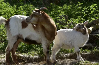 La Ferme d’Odysséa Pêche & Nature