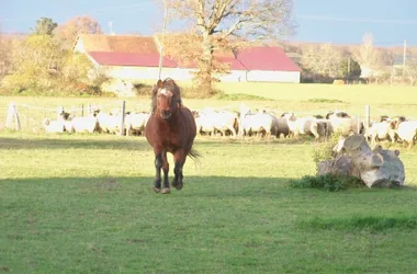 Ferme des Goyons