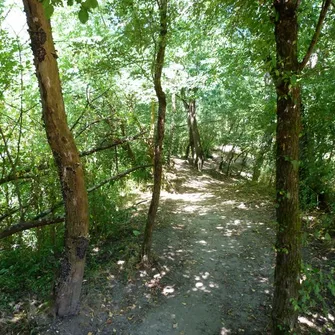 Les Îles de Bonny