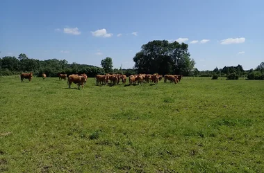 Randonnée du bocage de Bois Chétif