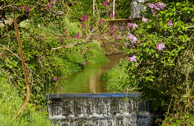 La source de l’Indre